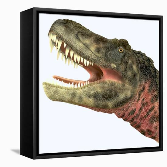 Tarbosaurus Dinosaur Roaring-Stocktrek Images-Framed Stretched Canvas