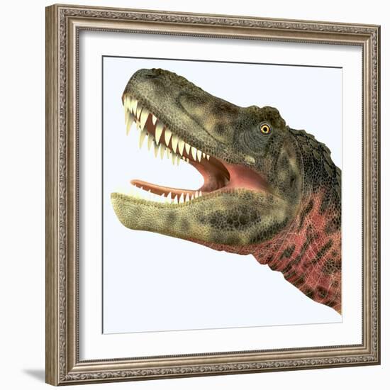 Tarbosaurus Dinosaur Roaring-Stocktrek Images-Framed Art Print