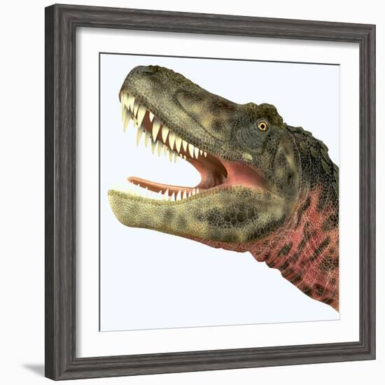 Tarbosaurus Dinosaur Roaring-Stocktrek Images-Framed Art Print