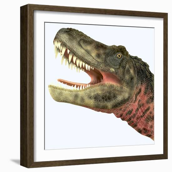 Tarbosaurus Dinosaur Roaring-Stocktrek Images-Framed Art Print