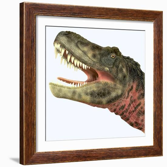 Tarbosaurus Dinosaur Roaring-Stocktrek Images-Framed Art Print