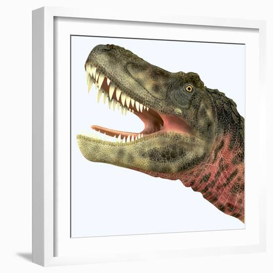 Tarbosaurus Dinosaur Roaring-Stocktrek Images-Framed Art Print