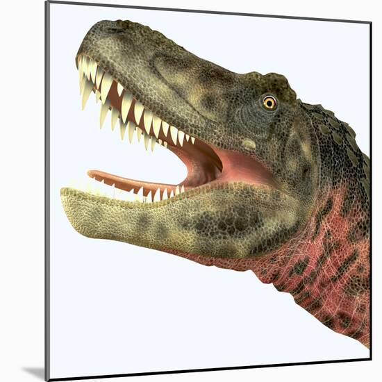 Tarbosaurus Dinosaur Roaring-Stocktrek Images-Mounted Art Print