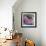 Tardigrade, SEM-Steve Gschmeissner-Framed Premium Photographic Print displayed on a wall