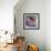 Tardigrade, SEM-Steve Gschmeissner-Framed Premium Photographic Print displayed on a wall