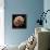 Tardigrade, SEM-Steve Gschmeissner-Framed Premier Image Canvas displayed on a wall