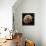 Tardigrade, SEM-Steve Gschmeissner-Framed Premier Image Canvas displayed on a wall