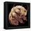 Tardigrade, SEM-Steve Gschmeissner-Framed Premier Image Canvas