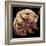 Tardigrade, SEM-Steve Gschmeissner-Framed Premium Photographic Print