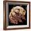 Tardigrade, SEM-Steve Gschmeissner-Framed Premium Photographic Print