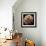 Tardigrade, SEM-Steve Gschmeissner-Framed Premium Photographic Print displayed on a wall