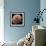 Tardigrade, SEM-Steve Gschmeissner-Framed Premium Photographic Print displayed on a wall