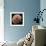 Tardigrade, SEM-Steve Gschmeissner-Framed Premium Photographic Print displayed on a wall
