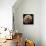 Tardigrade, SEM-Steve Gschmeissner-Mounted Premium Photographic Print displayed on a wall