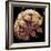 Tardigrade, SEM-Steve Gschmeissner-Framed Premium Photographic Print