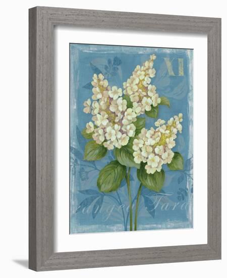 Tardiva Hydrangea-Pamela Gladding-Framed Art Print