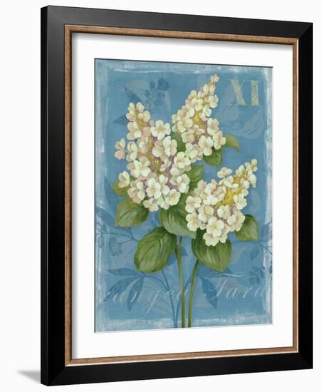 Tardiva Hydrangea-Pamela Gladding-Framed Art Print