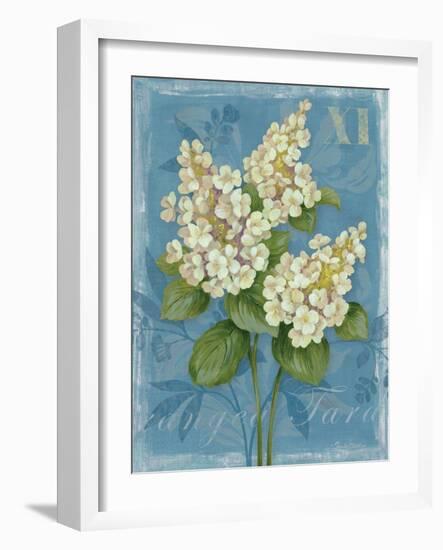 Tardiva Hydrangea-Pamela Gladding-Framed Art Print