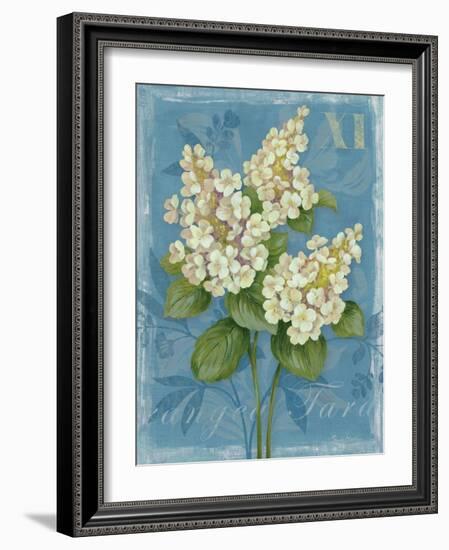 Tardiva Hydrangea-Pamela Gladding-Framed Art Print