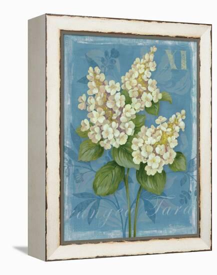 Tardiva Hydrangea-Pamela Gladding-Framed Stretched Canvas