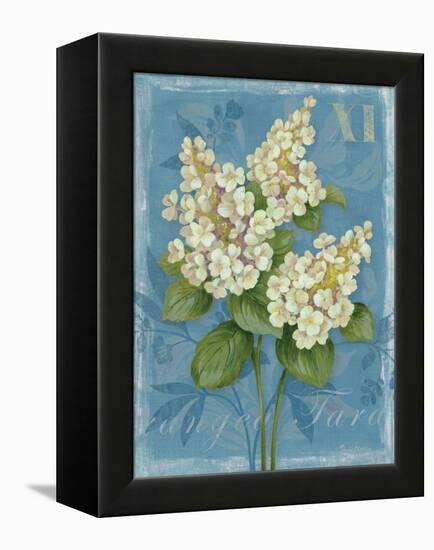 Tardiva Hydrangea-Pamela Gladding-Framed Stretched Canvas