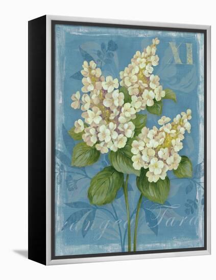 Tardiva Hydrangea-Pamela Gladding-Framed Stretched Canvas