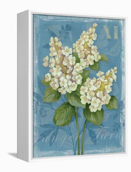 Tardiva Hydrangea-Pamela Gladding-Framed Stretched Canvas