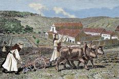 Monks Ploughing the Land with Oxen. Germany.-Tarker-Giclee Print