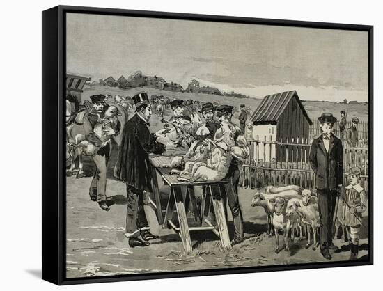 Stretched Canvas Print, , large