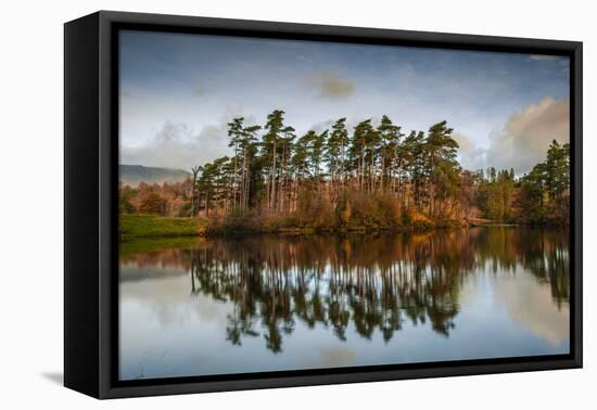 Tarn Hows at sunrise, Lake District National Park, UNESCO World Heritage Site, Cumbria-Ian Egner-Framed Premier Image Canvas