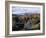 Tarn Hows, Lake District National Park, Cumbria, England, United Kingdom-Roy Rainford-Framed Photographic Print