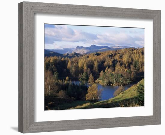 Tarn Hows, Lake District National Park, Cumbria, England, United Kingdom-Roy Rainford-Framed Photographic Print