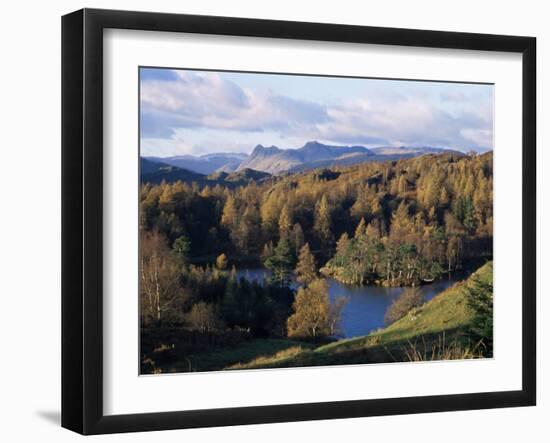 Tarn Hows, Lake District National Park, Cumbria, England, United Kingdom-Roy Rainford-Framed Photographic Print