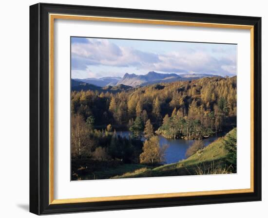 Tarn Hows, Lake District National Park, Cumbria, England, United Kingdom-Roy Rainford-Framed Photographic Print