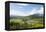 Taro Fields in Hanalei National Wildlife Refuge, Hanalei Valley, Kauai, Hawaii-Michael DeFreitas-Framed Premier Image Canvas