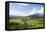 Taro Fields in Hanalei National Wildlife Refuge, Hanalei Valley, Kauai, Hawaii-Michael DeFreitas-Framed Premier Image Canvas