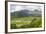 Taro Fields in Hanalei National Wildlife Refuge-Michael DeFreitas-Framed Photographic Print