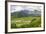 Taro Fields in Hanalei National Wildlife Refuge-Michael DeFreitas-Framed Photographic Print