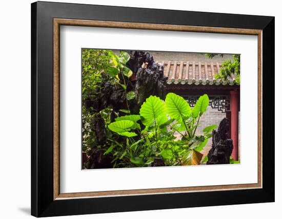 Taro Plant, Foshan Ancestral Temple, Foshan, China-Stuart Westmorland-Framed Photographic Print