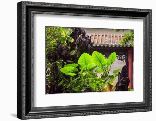 Taro Plant, Foshan Ancestral Temple, Foshan, China-Stuart Westmorland-Framed Photographic Print