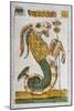 Tarot Card for Capricorn, 16th Century, Italy-null-Mounted Giclee Print