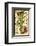 Tarot: The Ace of Clubs-null-Framed Photographic Print