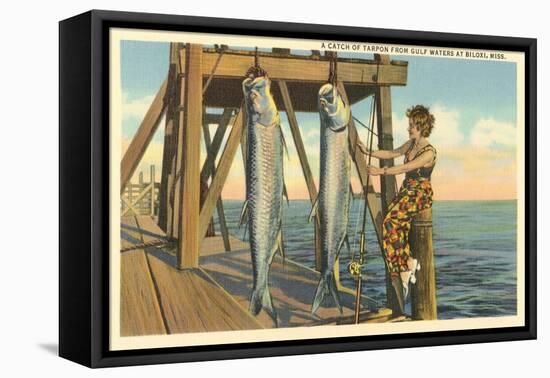 Tarpon on Dock, Biloxi, Mississippi-null-Framed Stretched Canvas