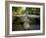 Tarr Steps a Prehistoric Clapper Bridge across the River Barle in Exmoor National Park, England-Mark Hannaford-Framed Photographic Print