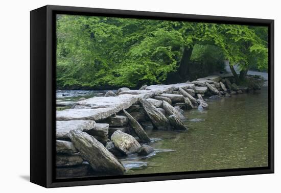 Tarr Steps, Medieval Clapper Bridge Crossing the River Barle, Exmoor National Park, Somerset, UK-Ross Hoddinott-Framed Premier Image Canvas