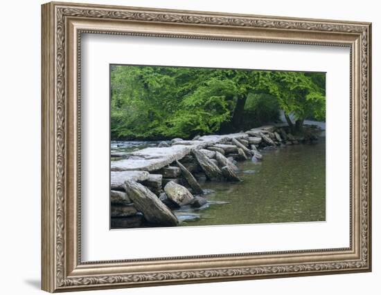 Tarr Steps, Medieval Clapper Bridge Crossing the River Barle, Exmoor National Park, Somerset, UK-Ross Hoddinott-Framed Photographic Print