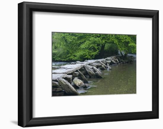 Tarr Steps, Medieval Clapper Bridge Crossing the River Barle, Exmoor National Park, Somerset, UK-Ross Hoddinott-Framed Photographic Print