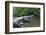 Tarr Steps, Medieval Clapper Bridge Crossing the River Barle, Exmoor National Park, Somerset, UK-Ross Hoddinott-Framed Photographic Print