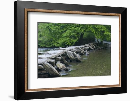 Tarr Steps, Medieval Clapper Bridge Crossing the River Barle, Exmoor National Park, Somerset, UK-Ross Hoddinott-Framed Photographic Print