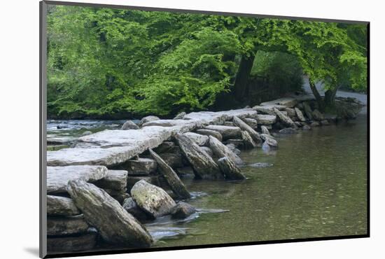 Tarr Steps, Medieval Clapper Bridge Crossing the River Barle, Exmoor National Park, Somerset, UK-Ross Hoddinott-Mounted Photographic Print